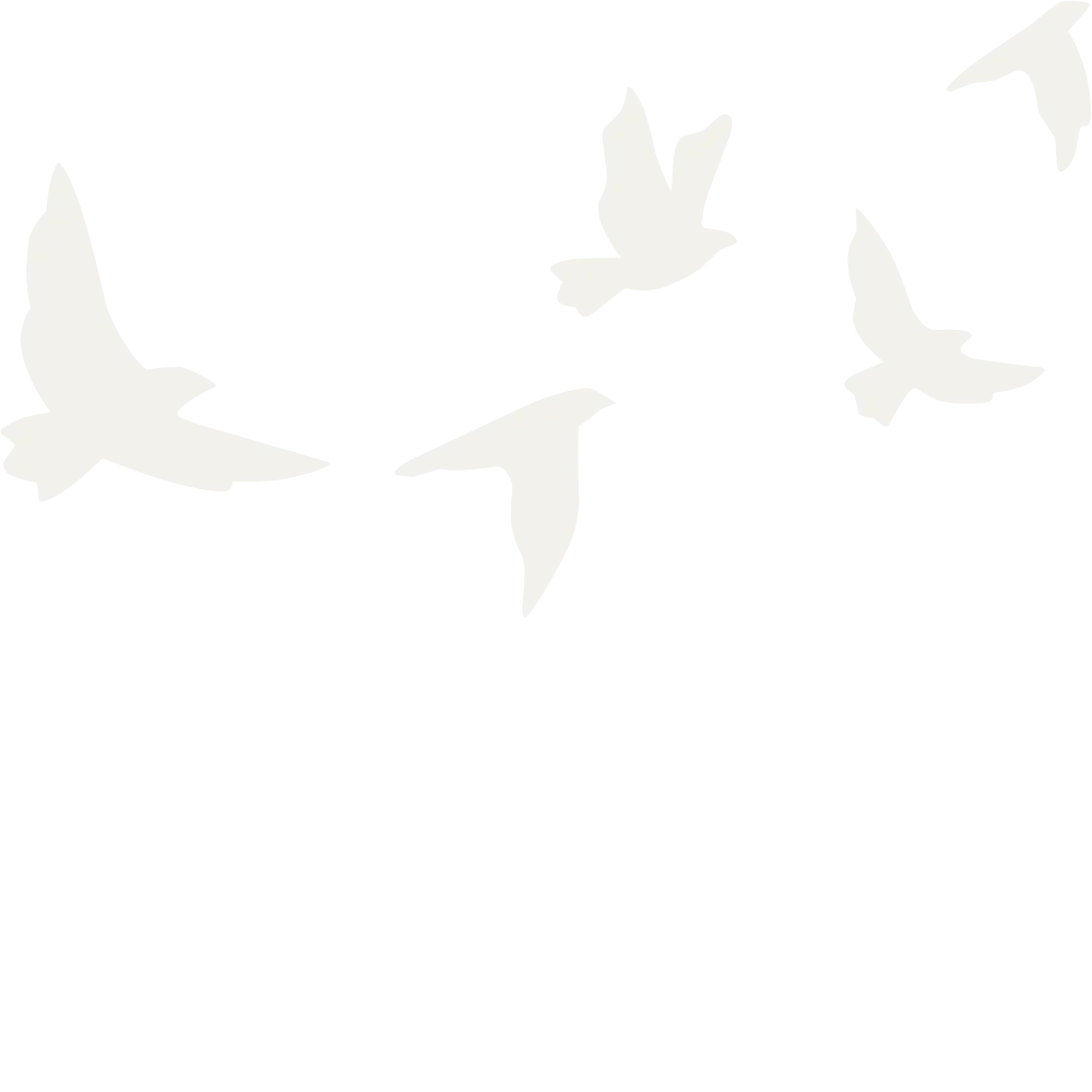 doves-1