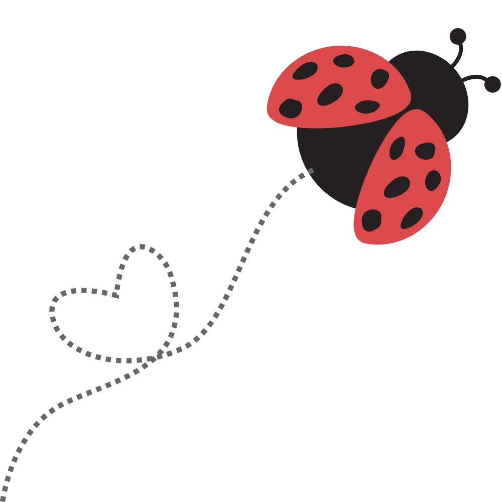 ladybug